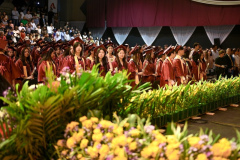 graduation_4264