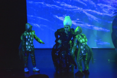 little-mermaid_0922-Edited