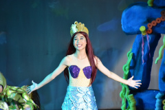 little-mermaid_0929