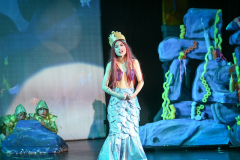 little-mermaid_4375