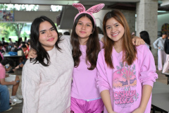 pink_2987