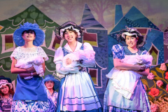 wizard-oz_ABU_3025