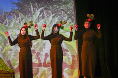 wizard-oz_ABU_3235