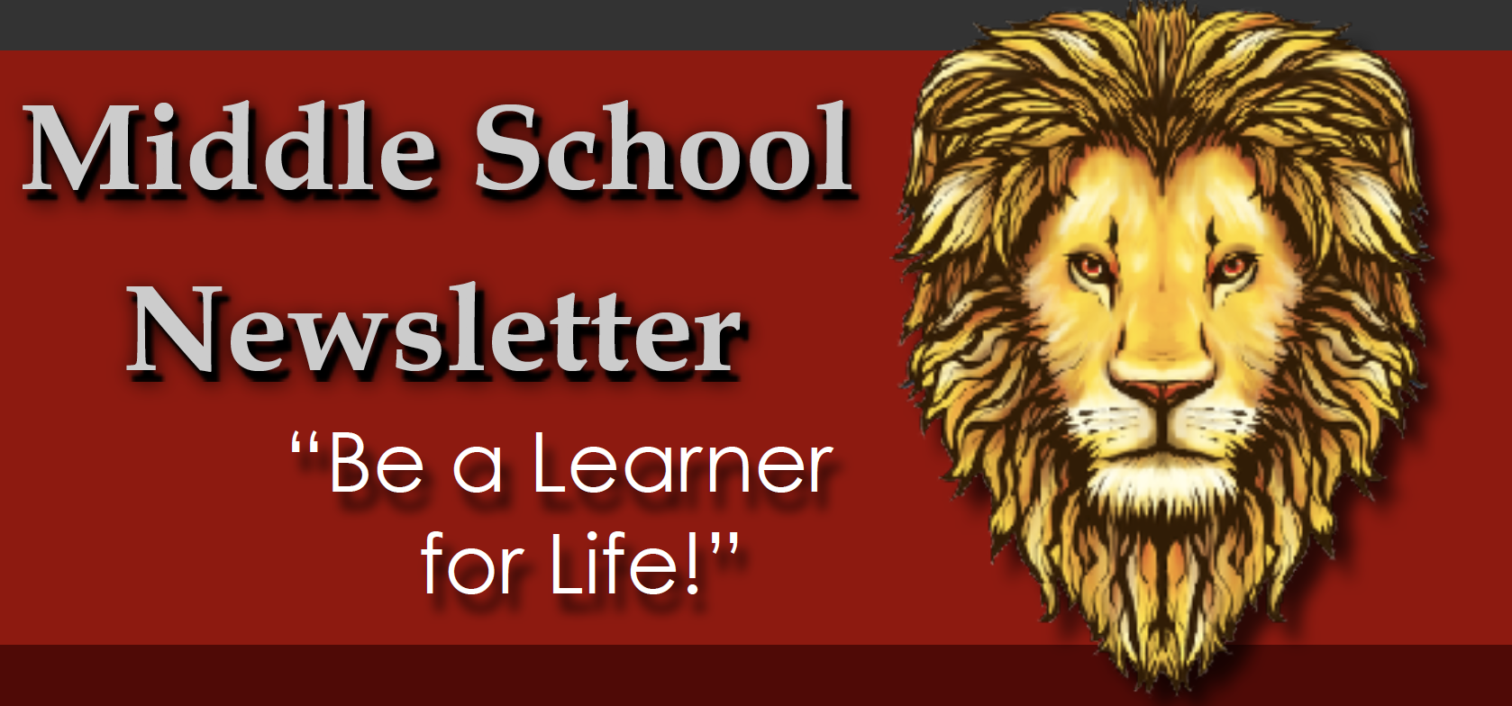 ms-newsletter-header